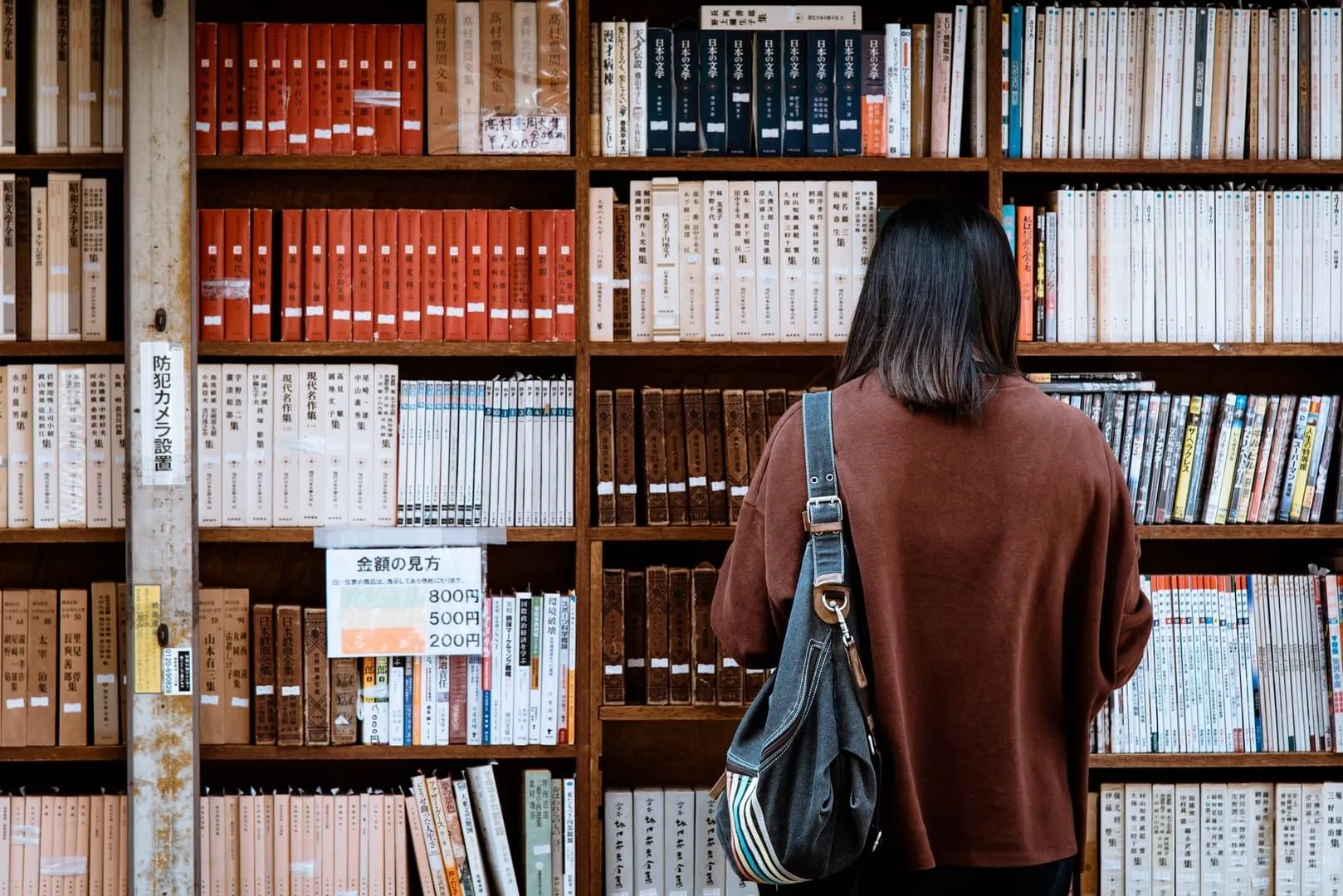 study at sheffild